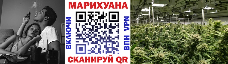Канабис конопля  Белоярский 